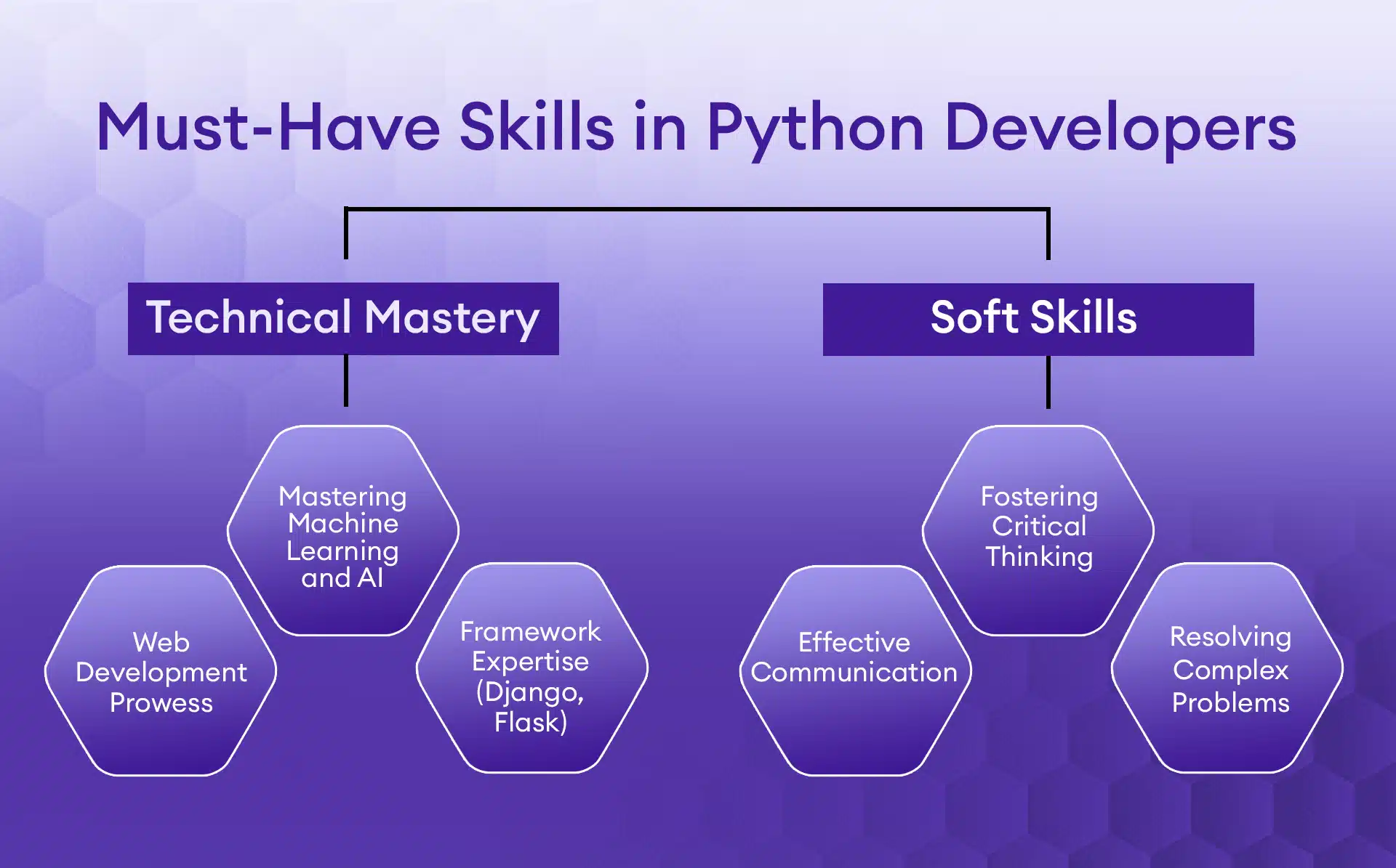 skills in python developer